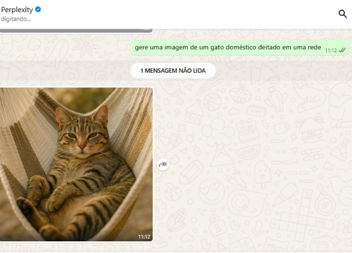 perplexity-whatsapp-teste-2-695x500