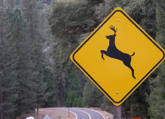placa de animal na pista