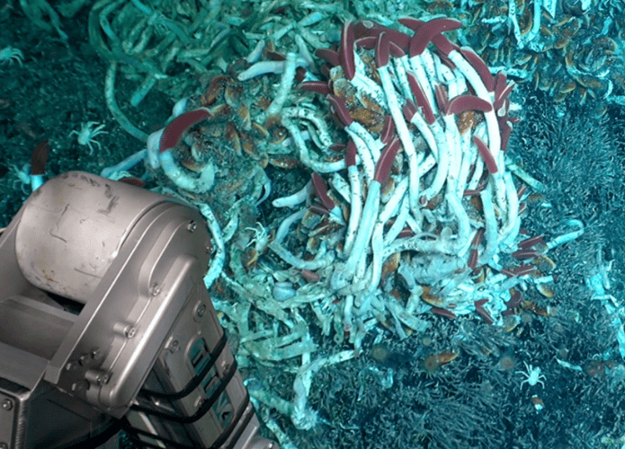 Captura-de-tela-2025-05-11-131305-695x500.png