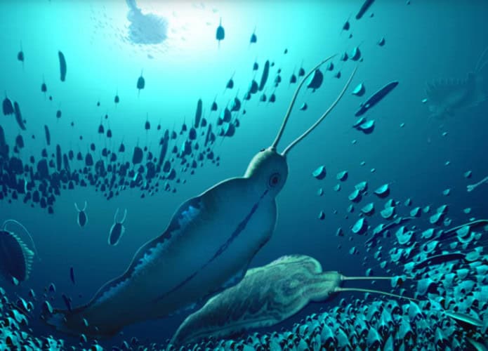 Captura-de-tela-2025-05-15-135951-695x500