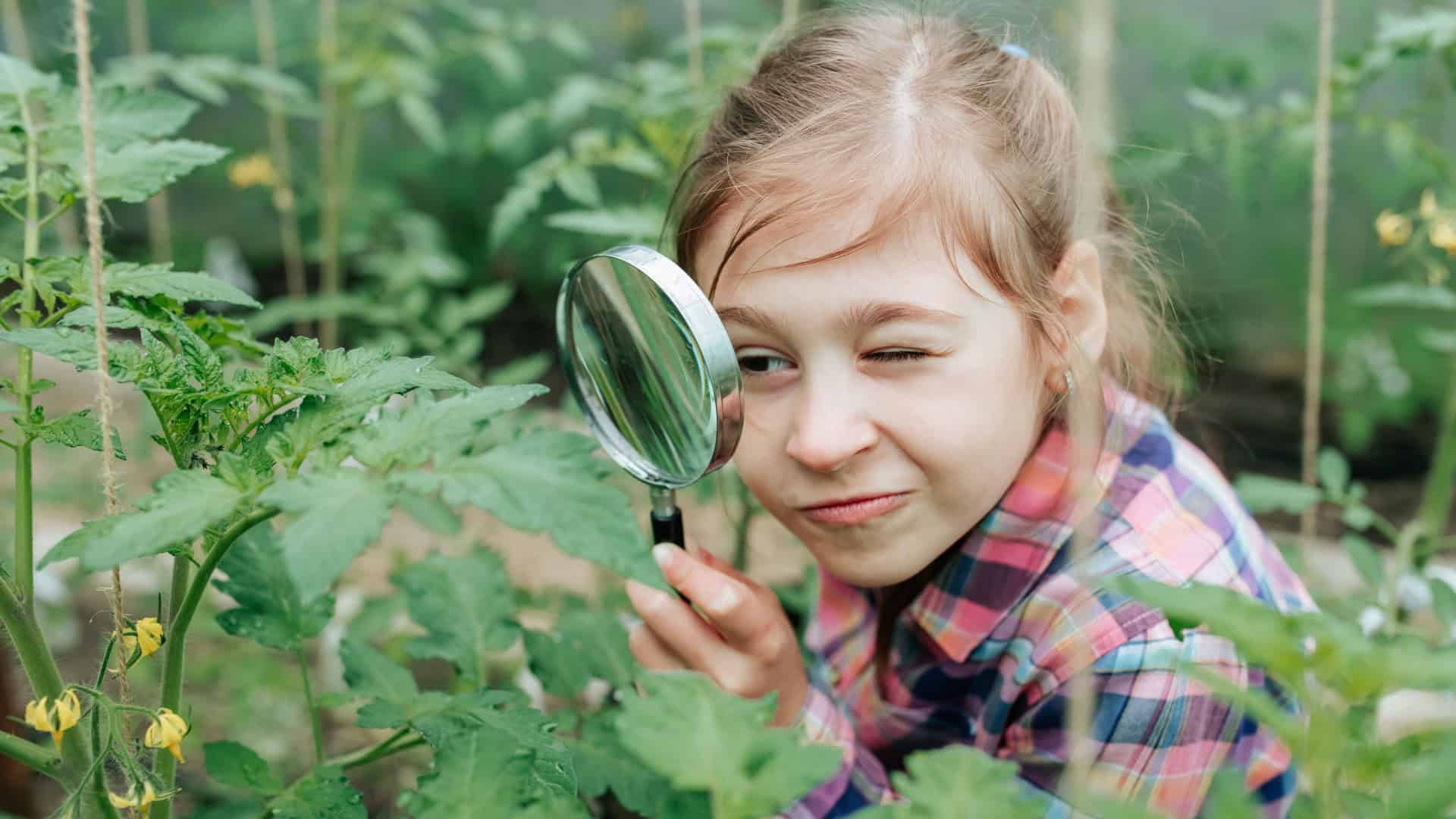 Menina bonita, cientista naturalista, explora a vida das plantas e a vida dos insetos com uma lupa. Cientista botânica. Levantamento de botânicos. Criança estudando plantas na estufa