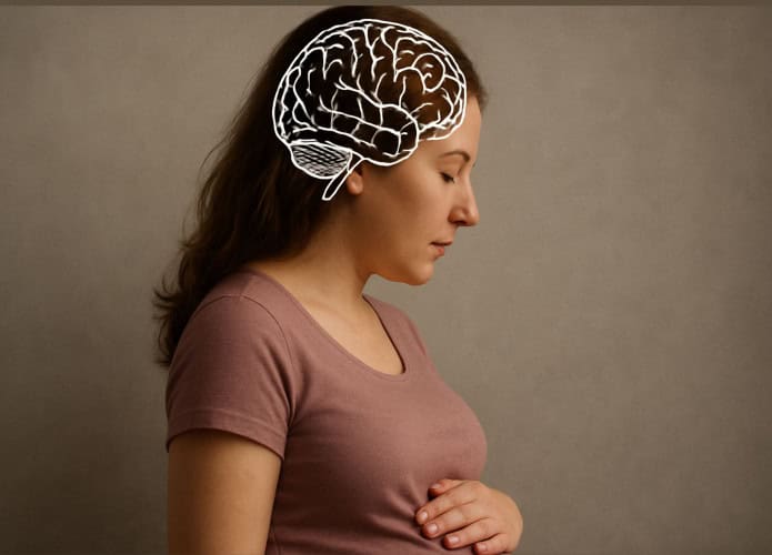 Mulher grávida em perfil, com expressão serena e mão sobre a barriga. Um desenho do cérebro destacado em branco aparece sobre sua cabeça, simbolizando mudanças neurológicas.