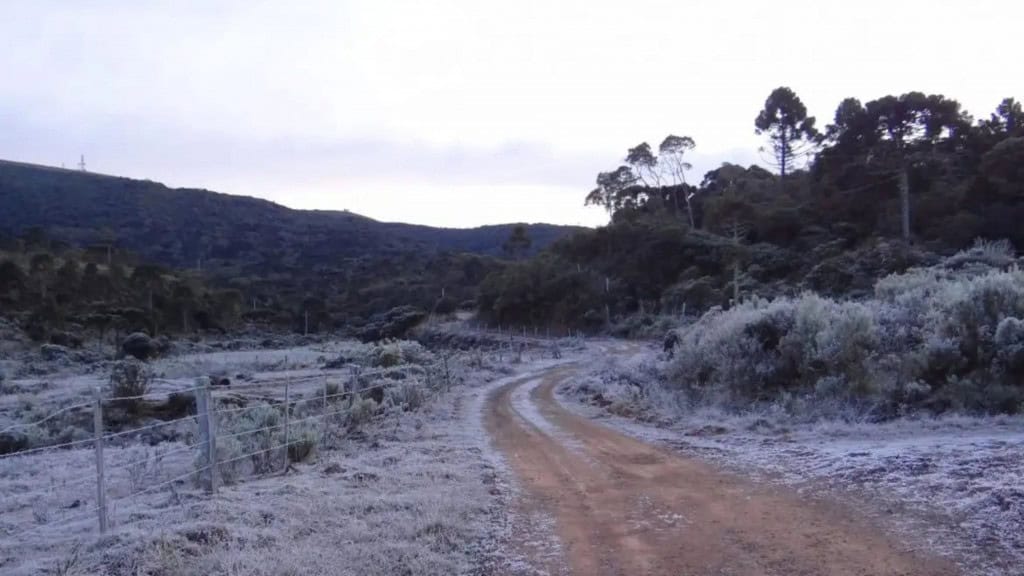 Estrada de terra e vegetação ao redor cobertos por neve na região Sul do Brasil