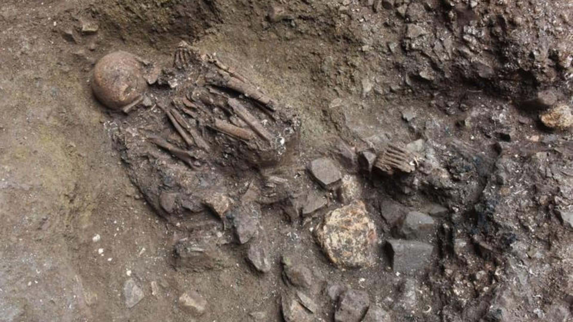Ossada de Xingyi_EN encontrada em Yunnan, na China