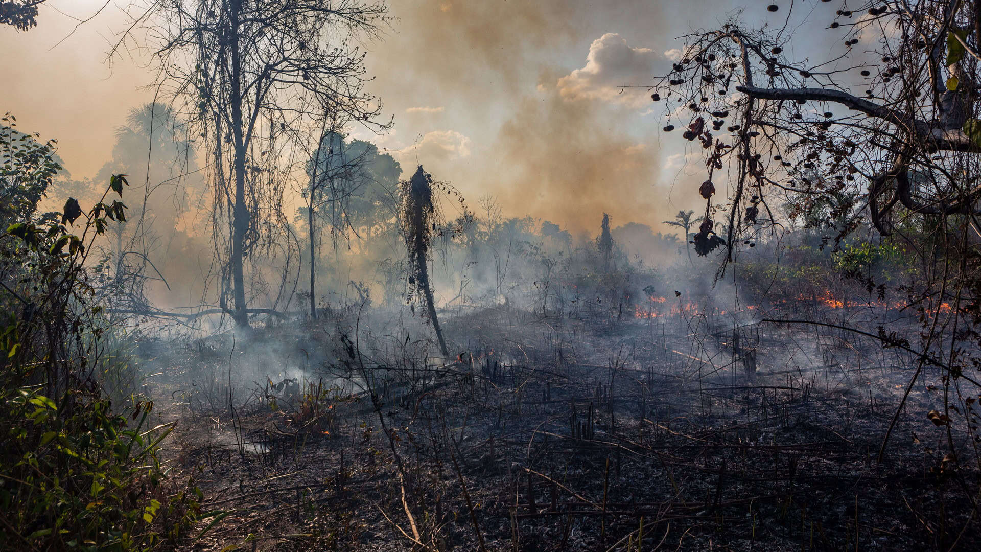 Amazônia devastada pelo fogo