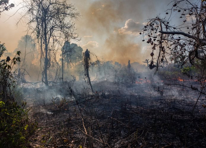 Amazônia devastada pelo fogo