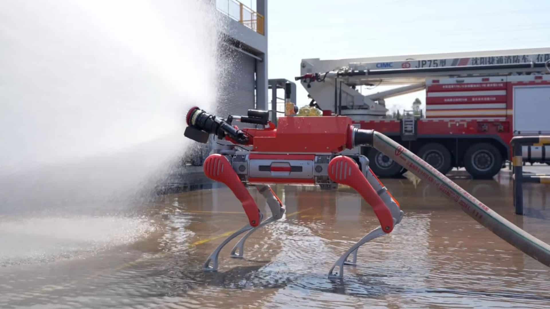 cão-robo