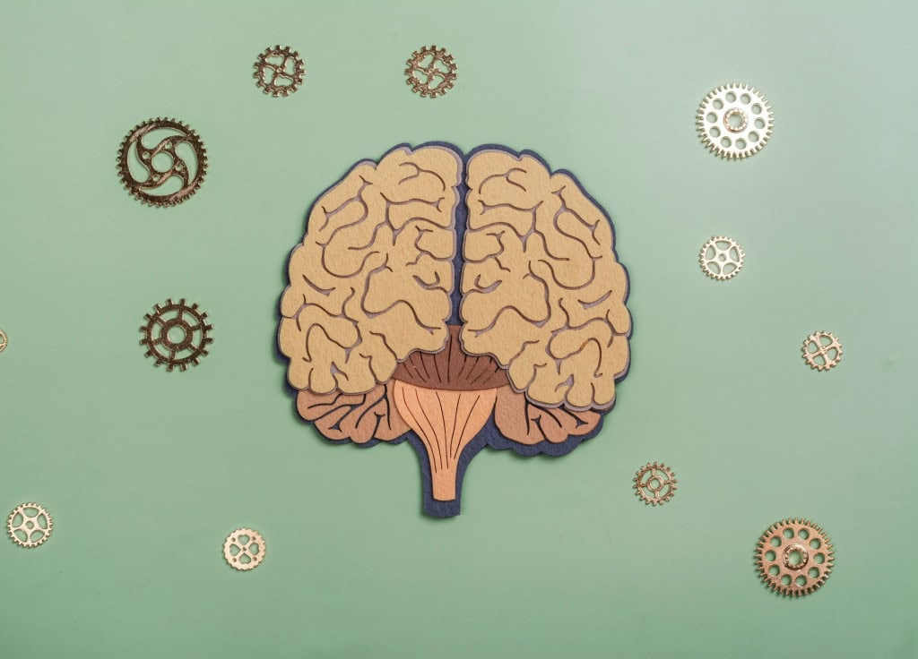 cognitivo