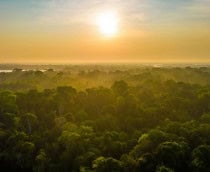 Sol forte iluminando a Amazônia