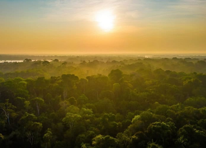 Sol forte iluminando a Amazônia