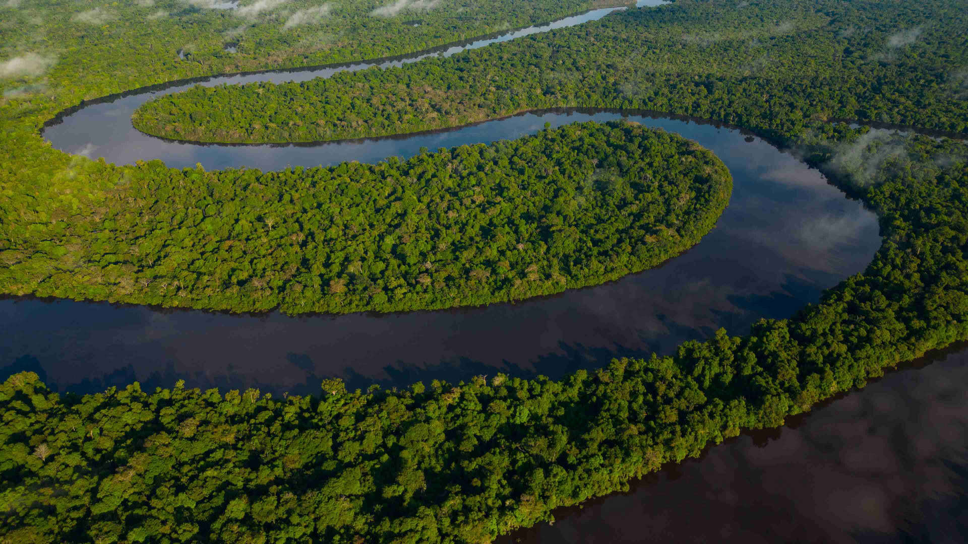 Floresta amazônica