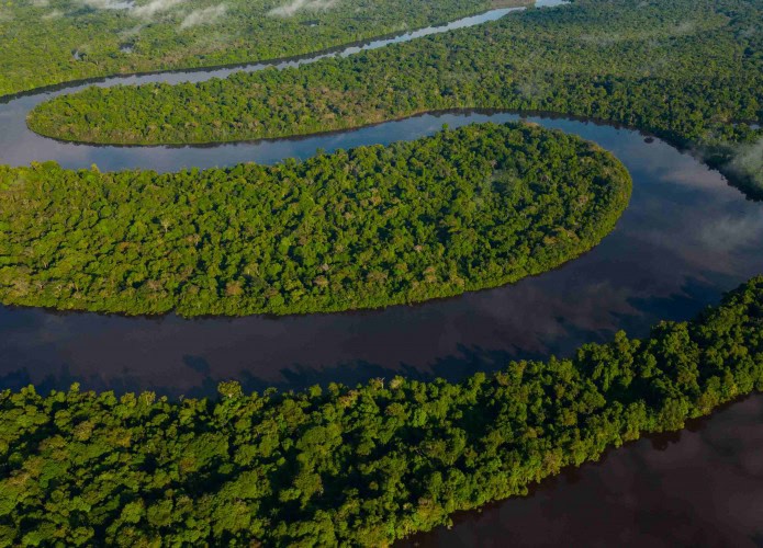 Floresta amazônica