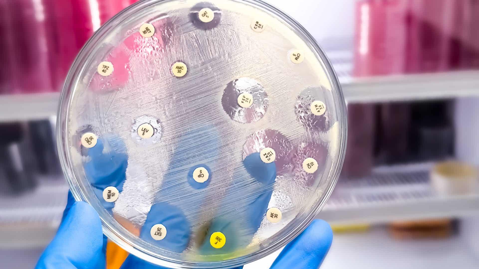 iStock-2157592829-1920x1080