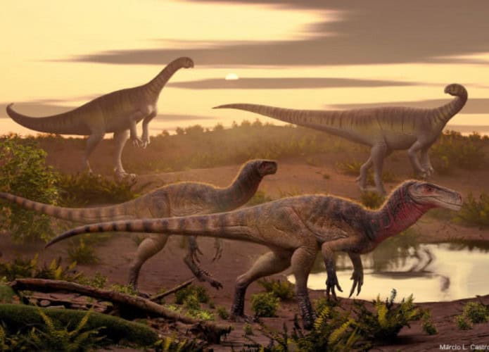 Maleriraptor kuttyi
