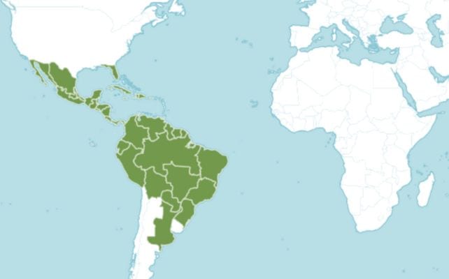 Mapa que mostra a distribuição de Trema micranthum blume