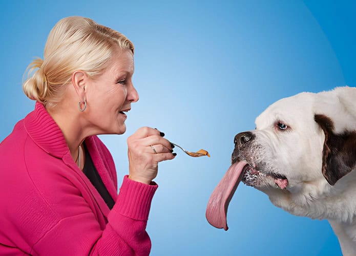 Mochi foi um São Bernardo que durante cinco anos deteve o recorde de cachorro vivo com maior língua do mundo