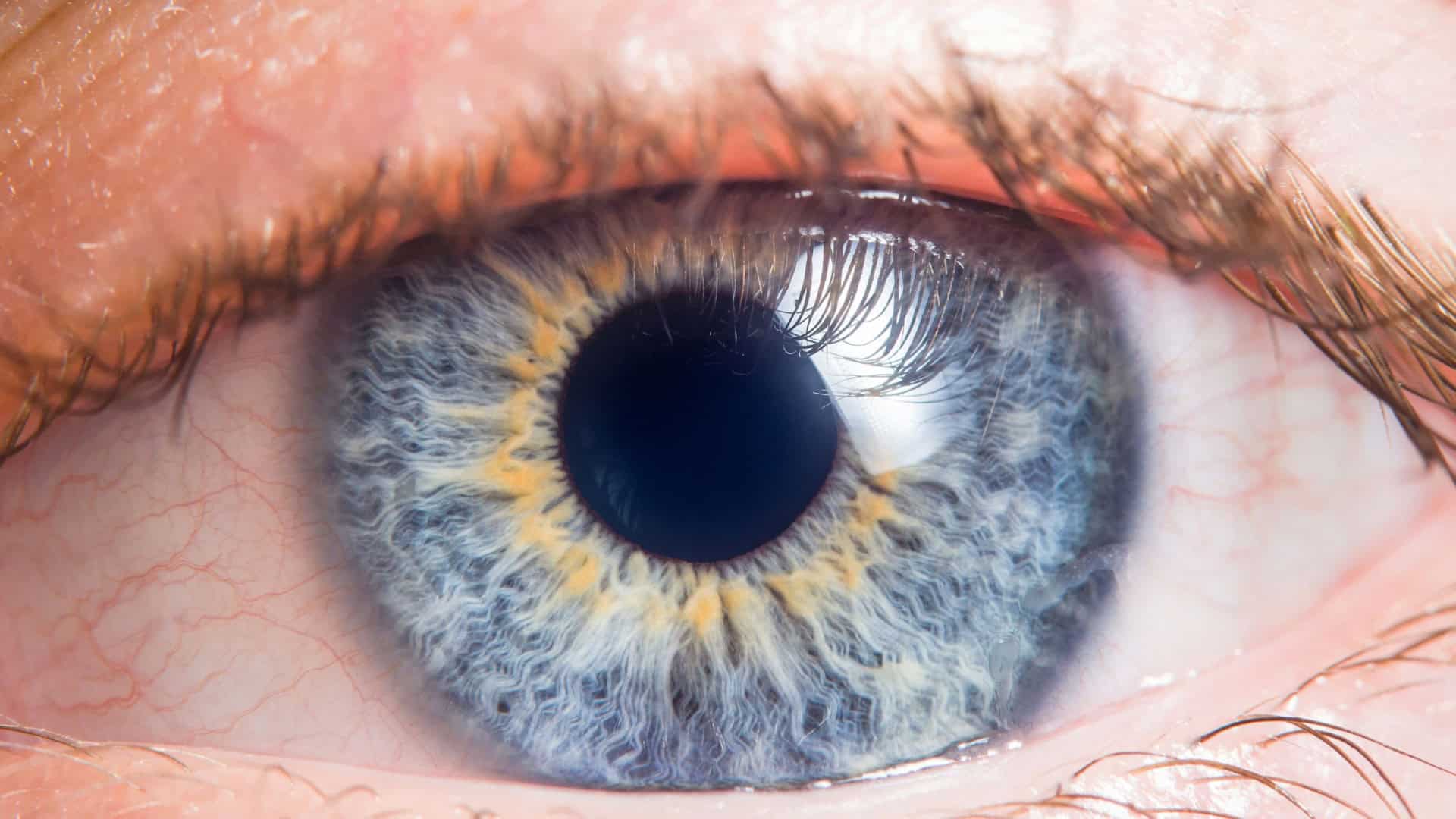 olho-1920x1080