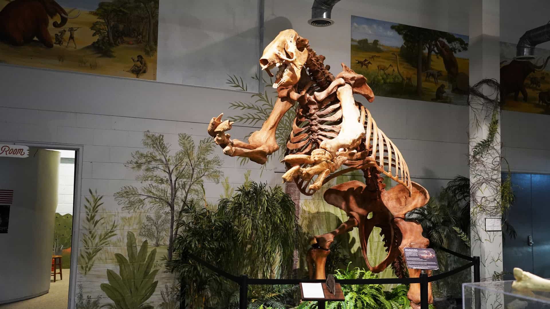 fóssil de preguiça gigante