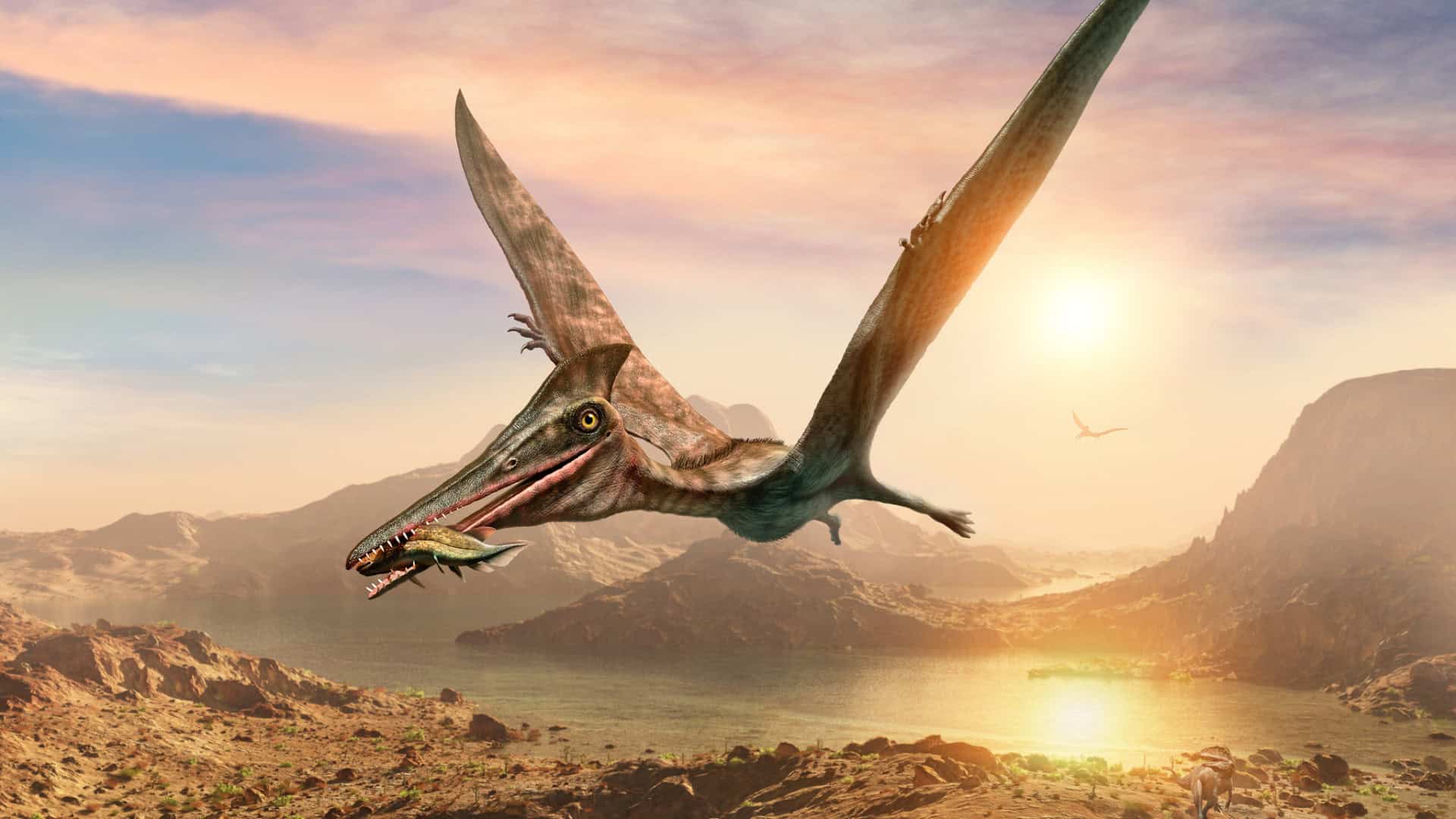 pterossauro-1-1920x1080