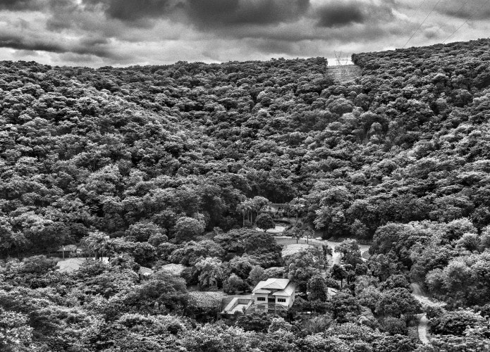 sebastio-salgado-instituto-terra-2-695x500