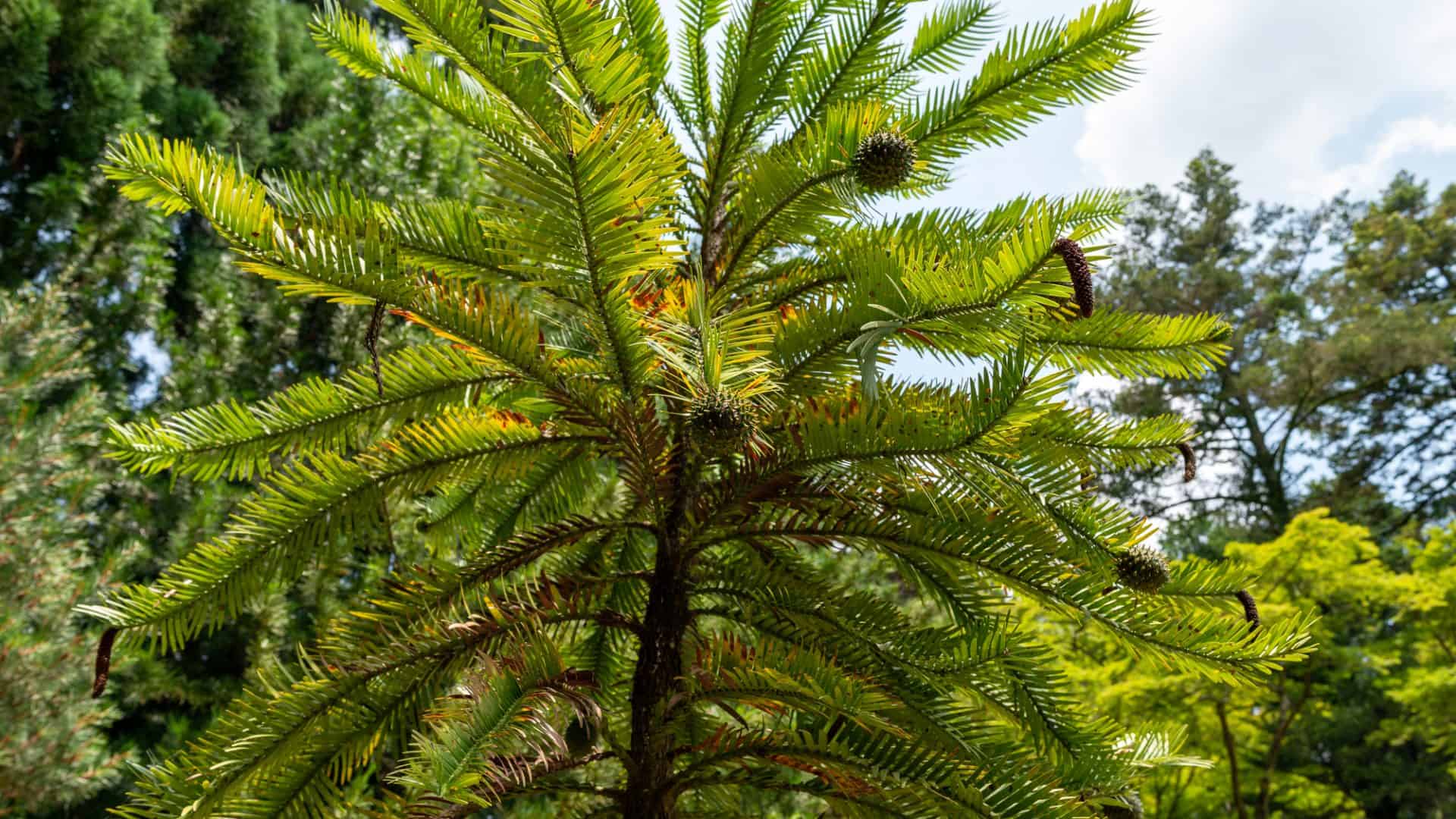 shutterstock_1997146937-2-1920x1080