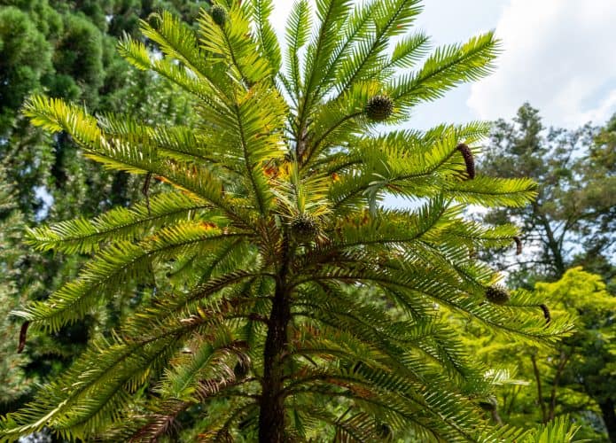 shutterstock_1997146937-2-695x500