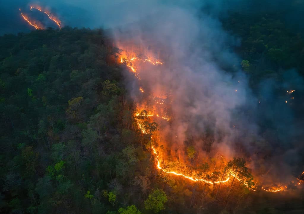 incêndios florestais