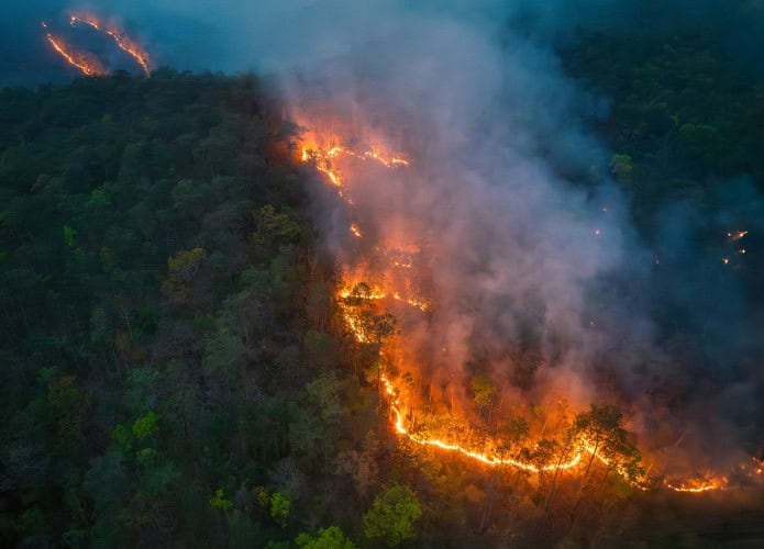 incêndios florestais
