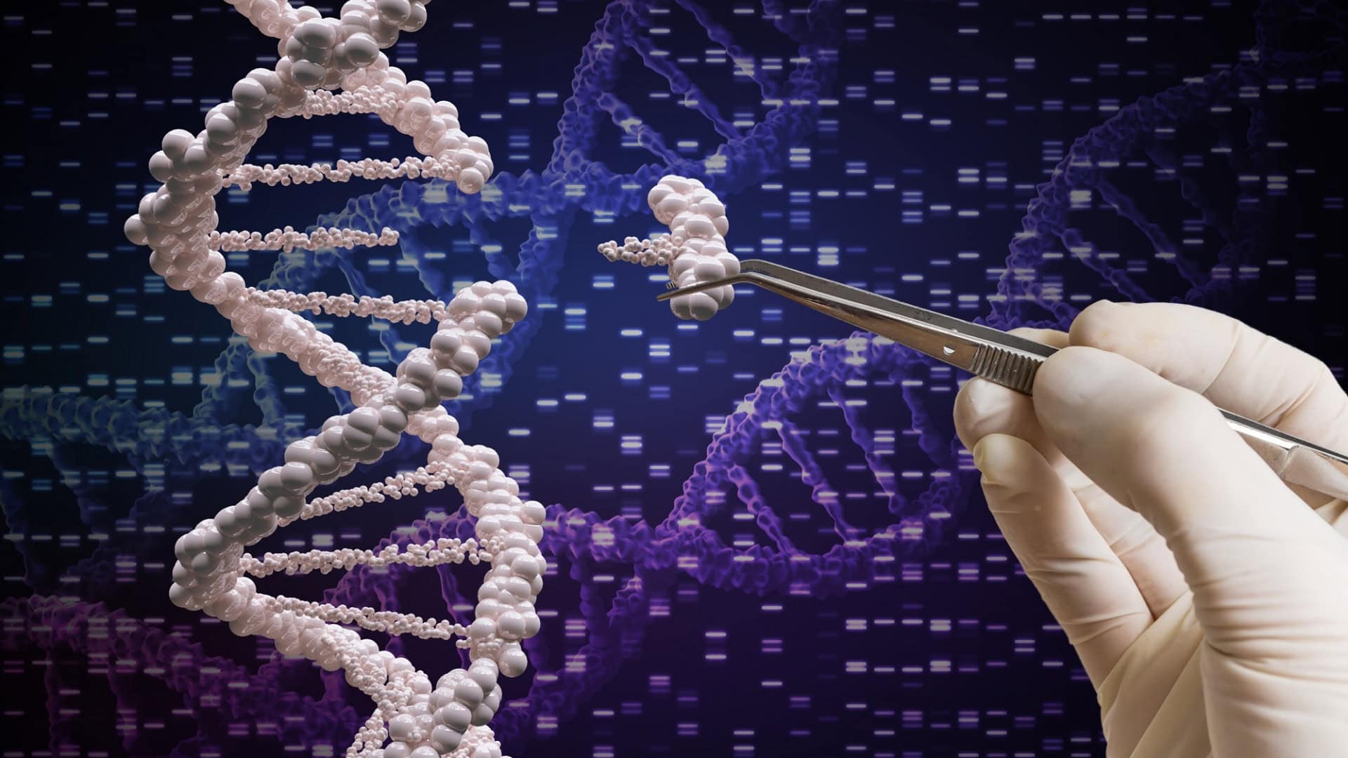 crispr