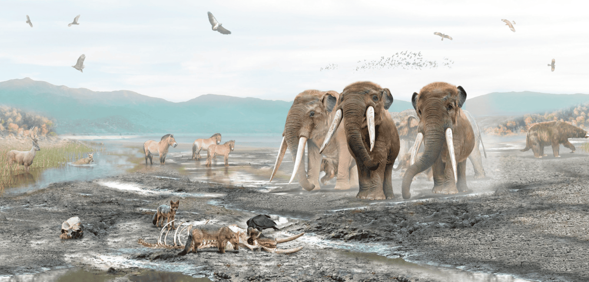 Captura-de-tela-2025-06-17-102402-1920x921.png