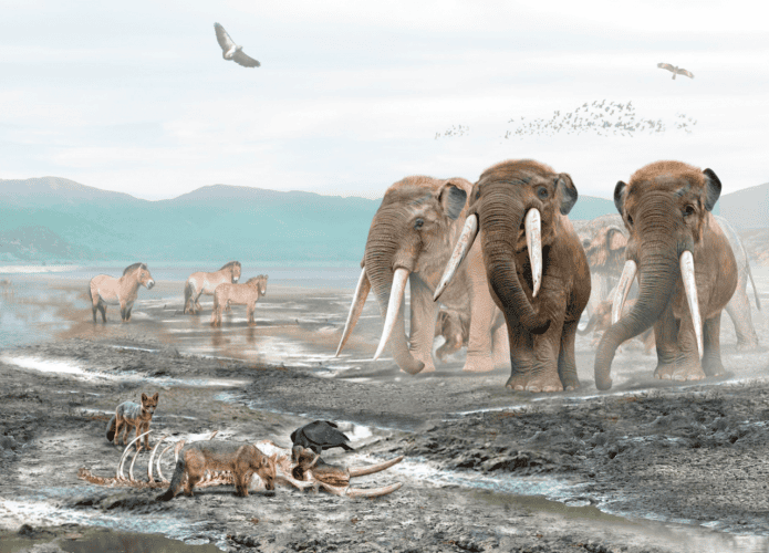 Captura-de-tela-2025-06-17-102402-695x500.png