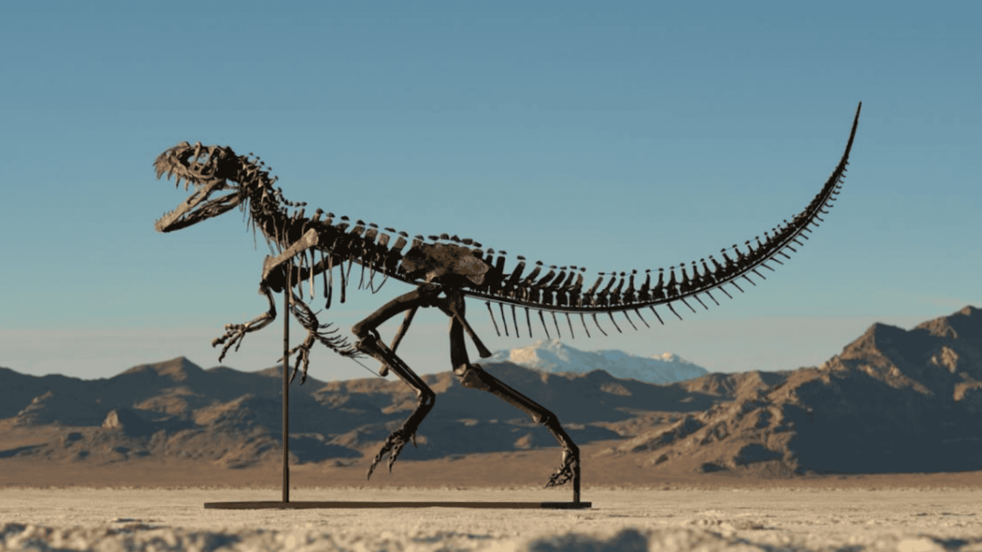 Fóssil completo de dinossauro