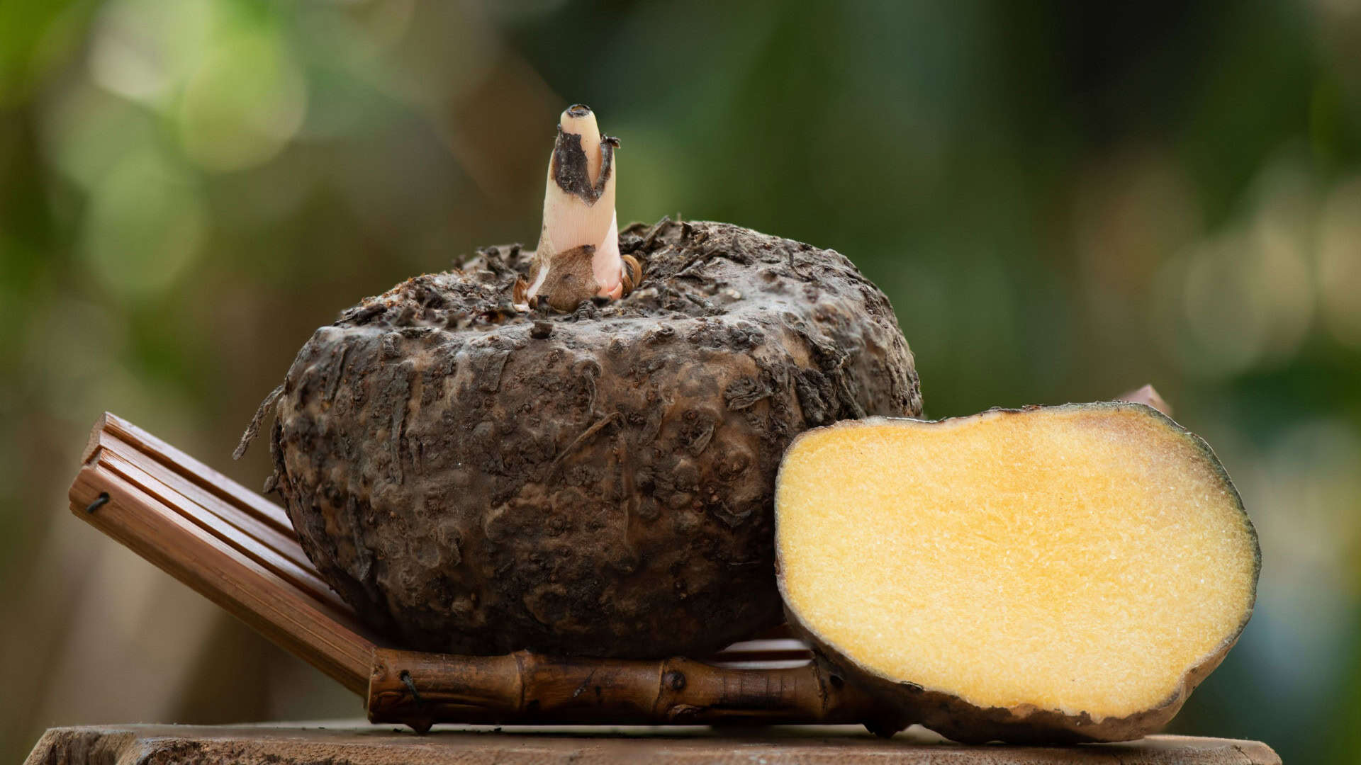 Cabeças de konjac e metade em fundo natural.