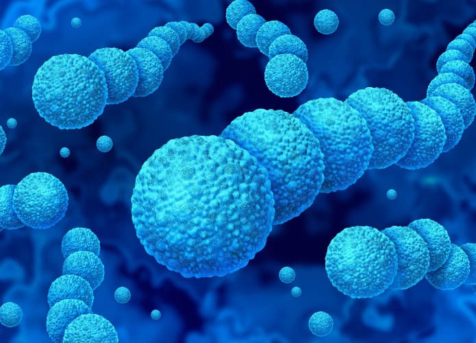 Bactérias do gênero Streptococcus e infecções estreptocócicas representadas como um surto de bactérias gram-positivas, com divisão celular esférica da família Streptococcaceae, espalhando-se em uma ilustração 3D.