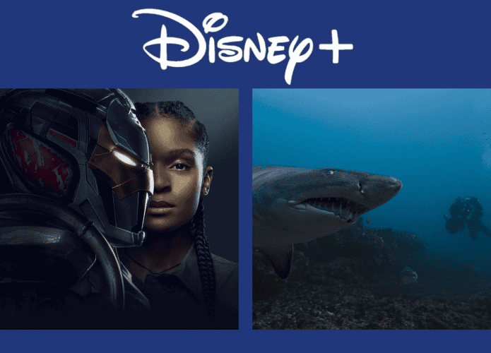 Disney+