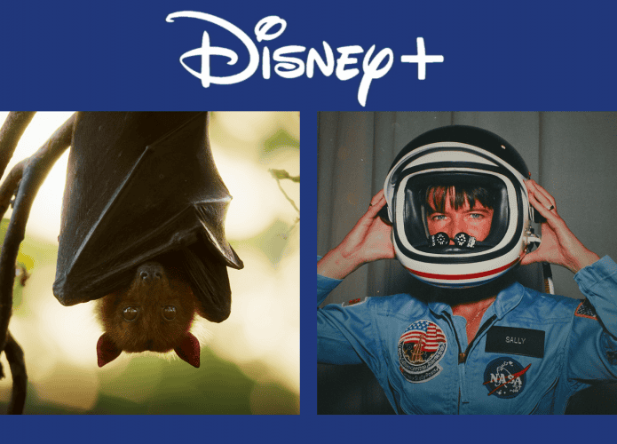 disney+