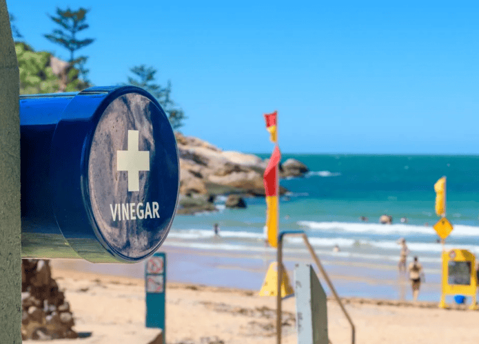 foto de um barril com vinagre em uma praia