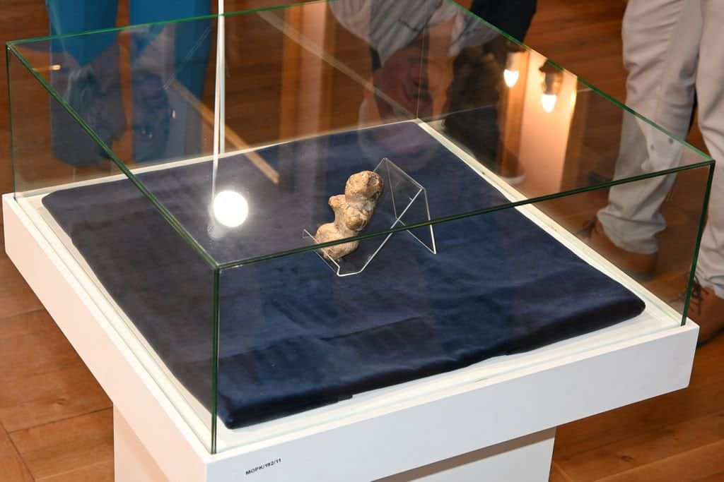 A estatueta foi divulgada em uma coletiva de imprensa no Museu da Cidade de Kołobrzeg.
