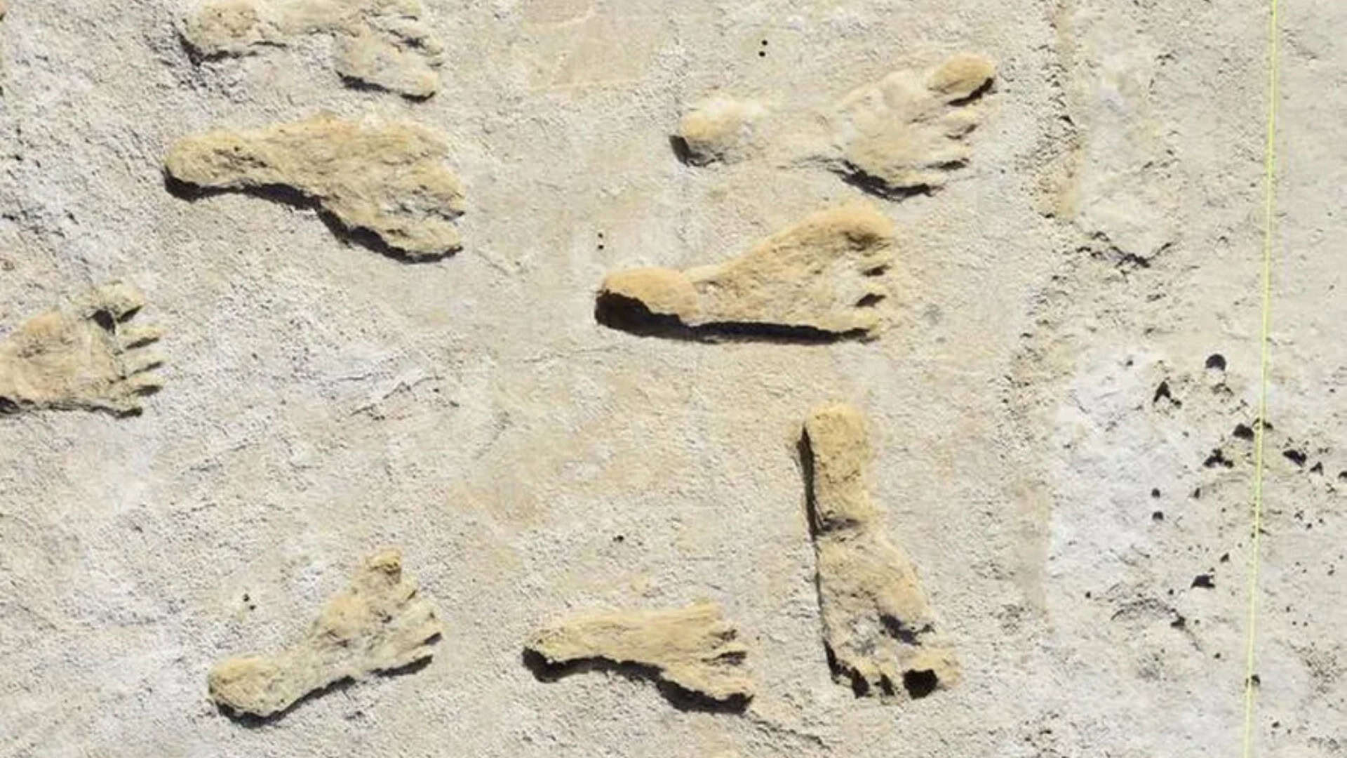 Pegadas mais antigas do mundo em White Sands, Novo México