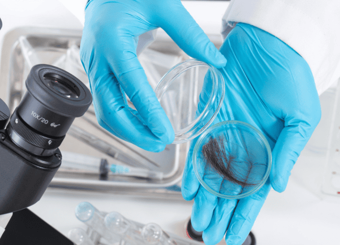 Profissional com o cabelo de alguém para a realização do exame toxicológico