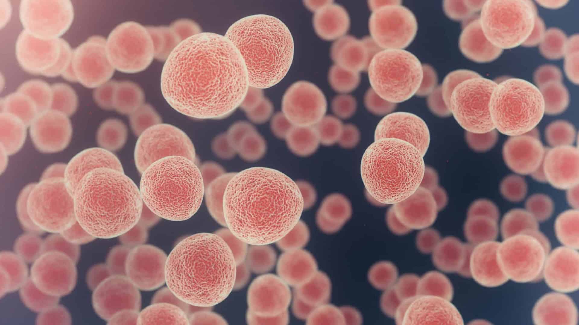 cancer-1920x1080