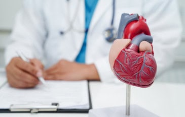 Médico cardiologista com modelo de coração em mesa de clínica