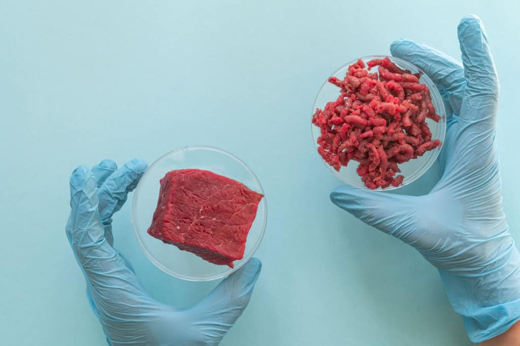 carne lab