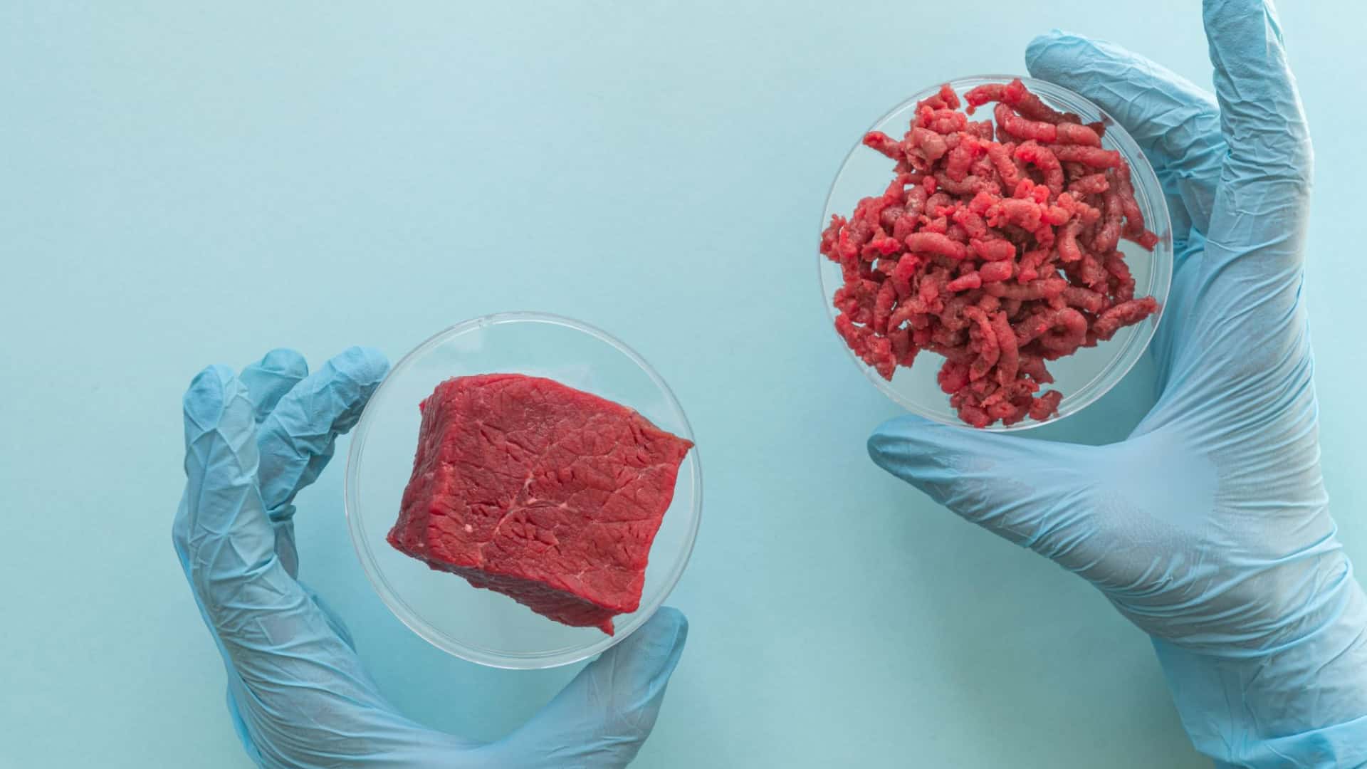 carne lab