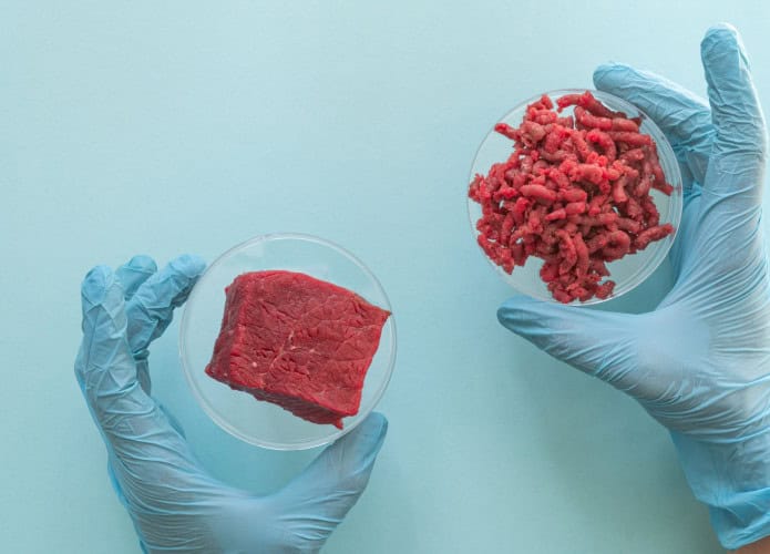 carne lab