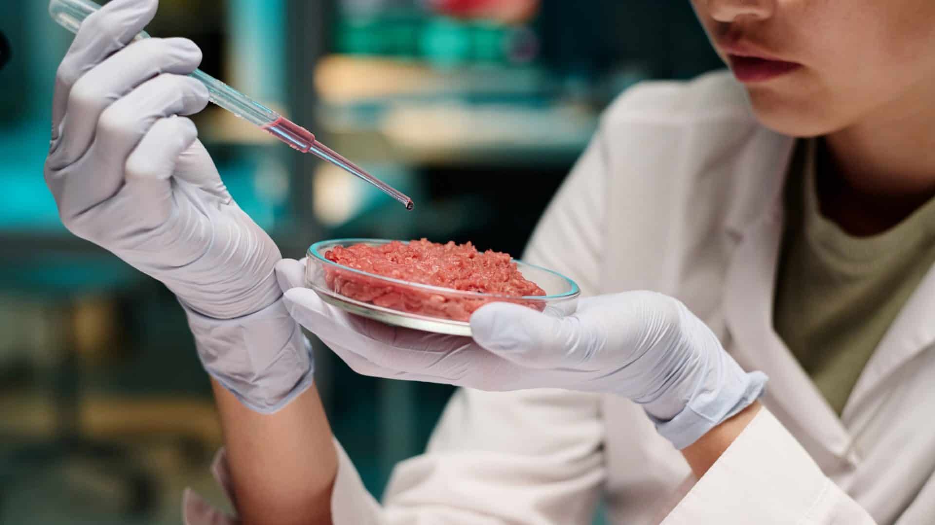 carnes-1920x1080