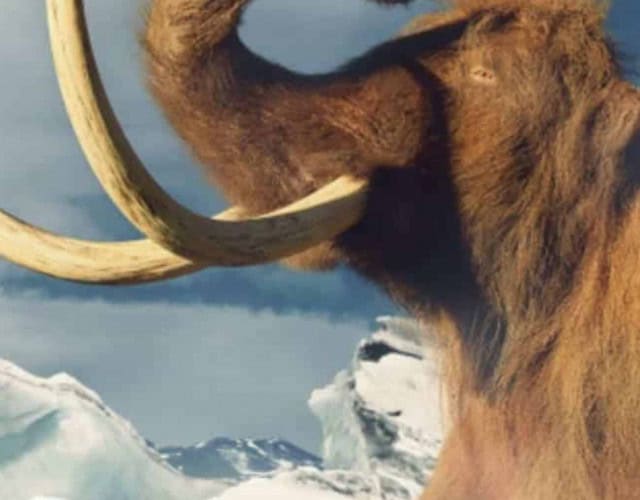 Capa - animais extintos