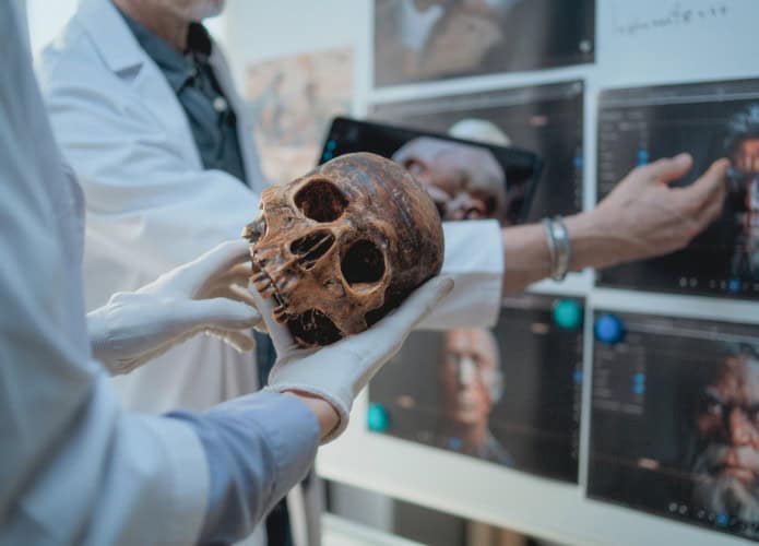 Cientista segura nas mãos um crânio de um hominídeo