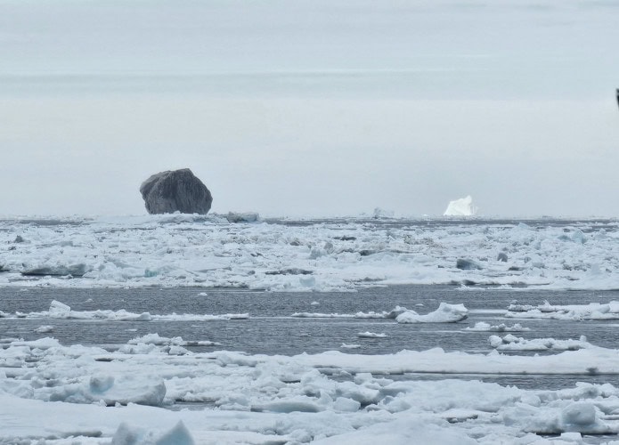 iceberg-preto-695x500