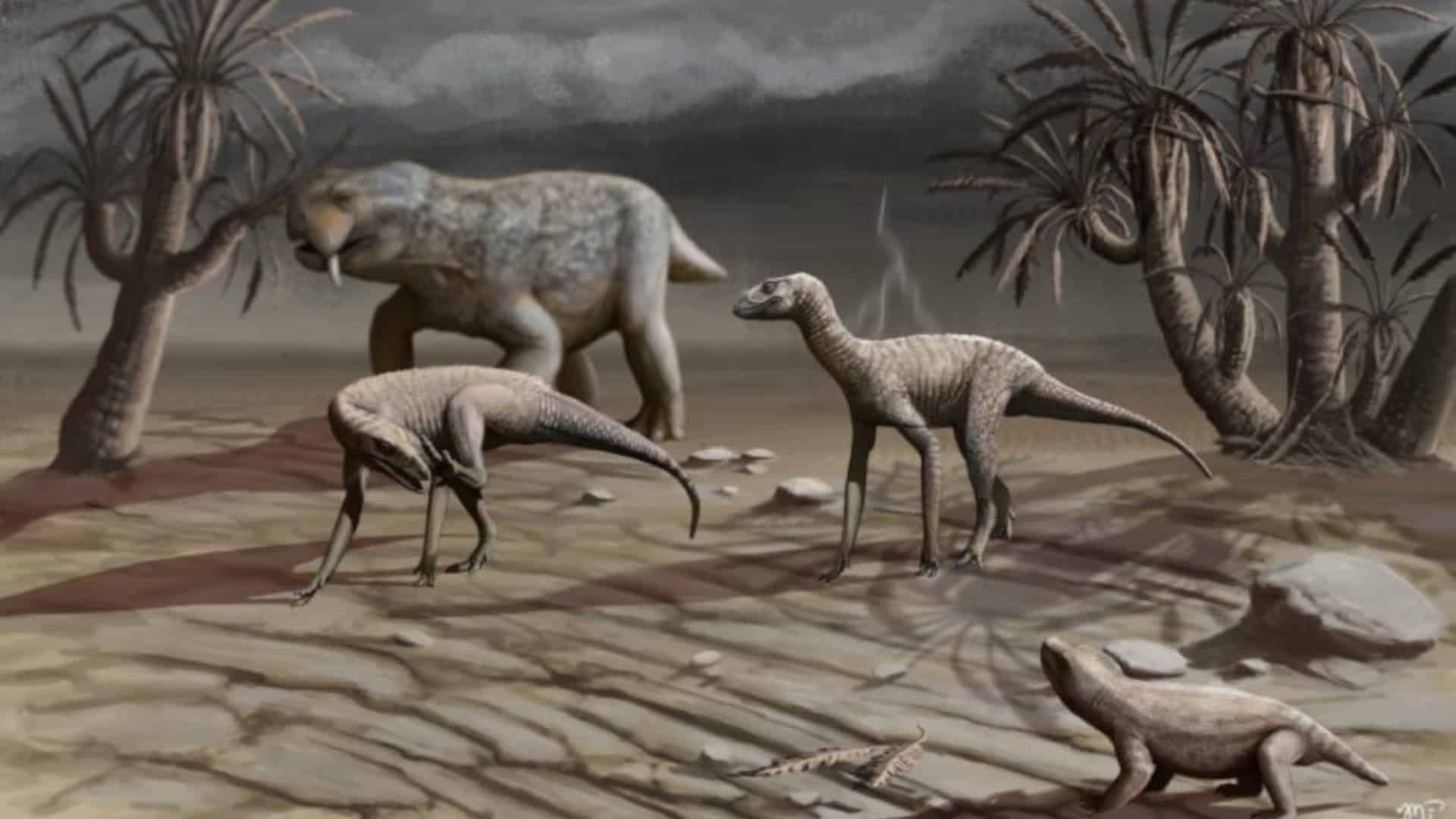 image-2-1920x1080